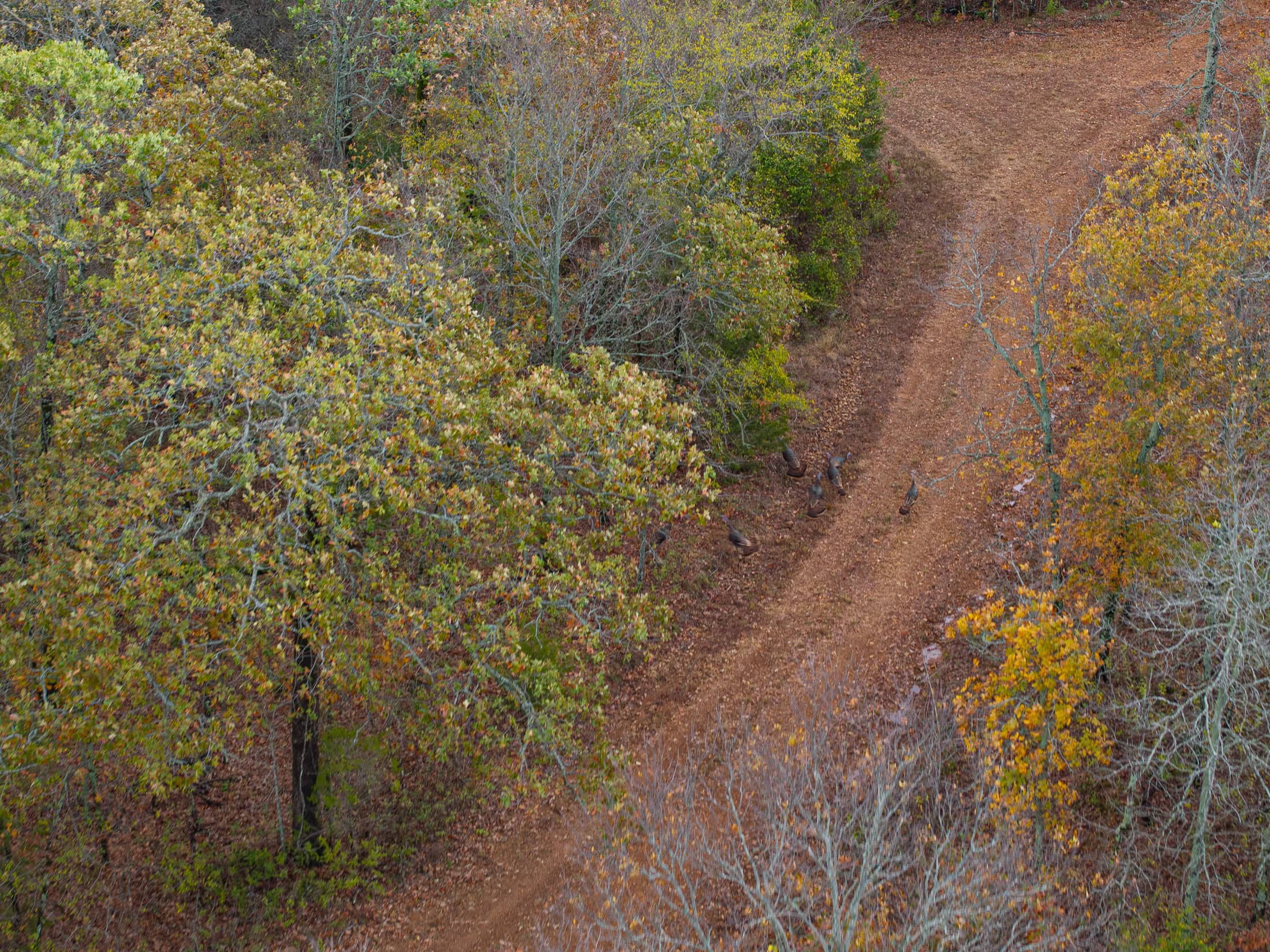 One of a kind Hunting Ranch Sequoyah County Oklahoma