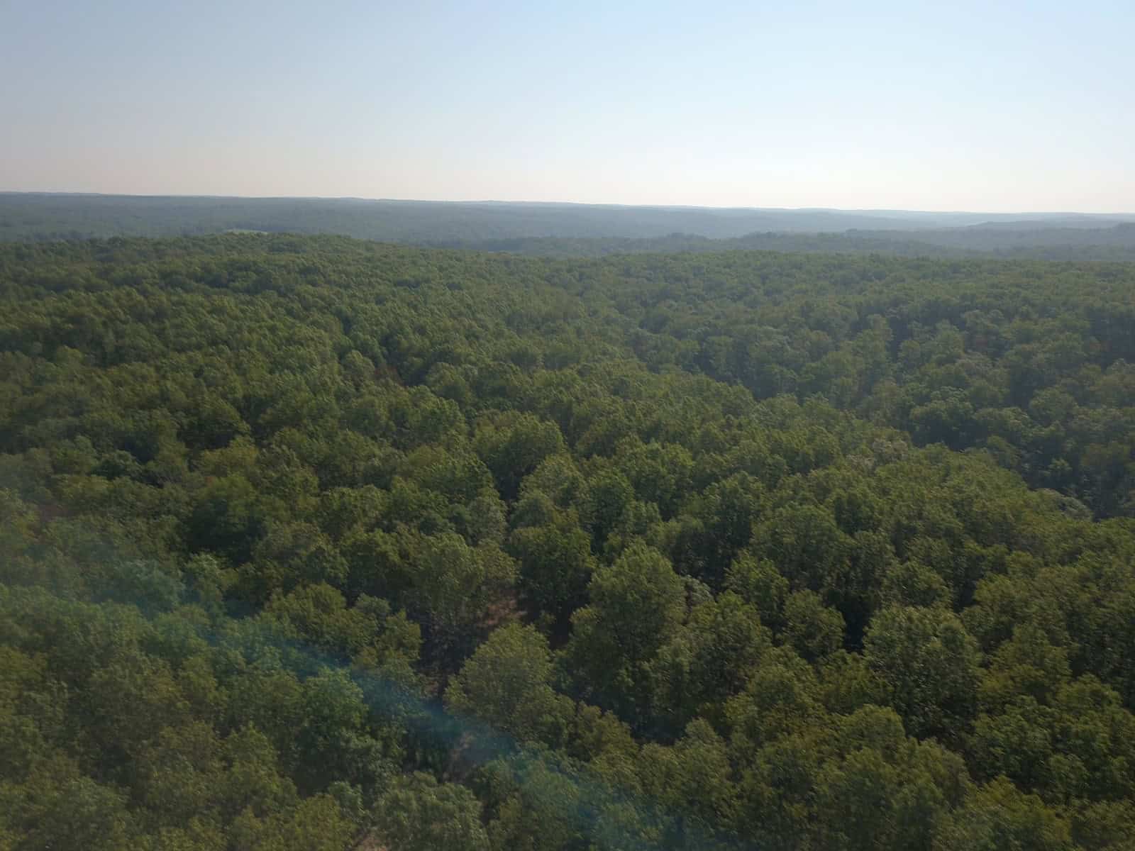 85 +/- acre property nestled on CR 4270 in Salem, MO!