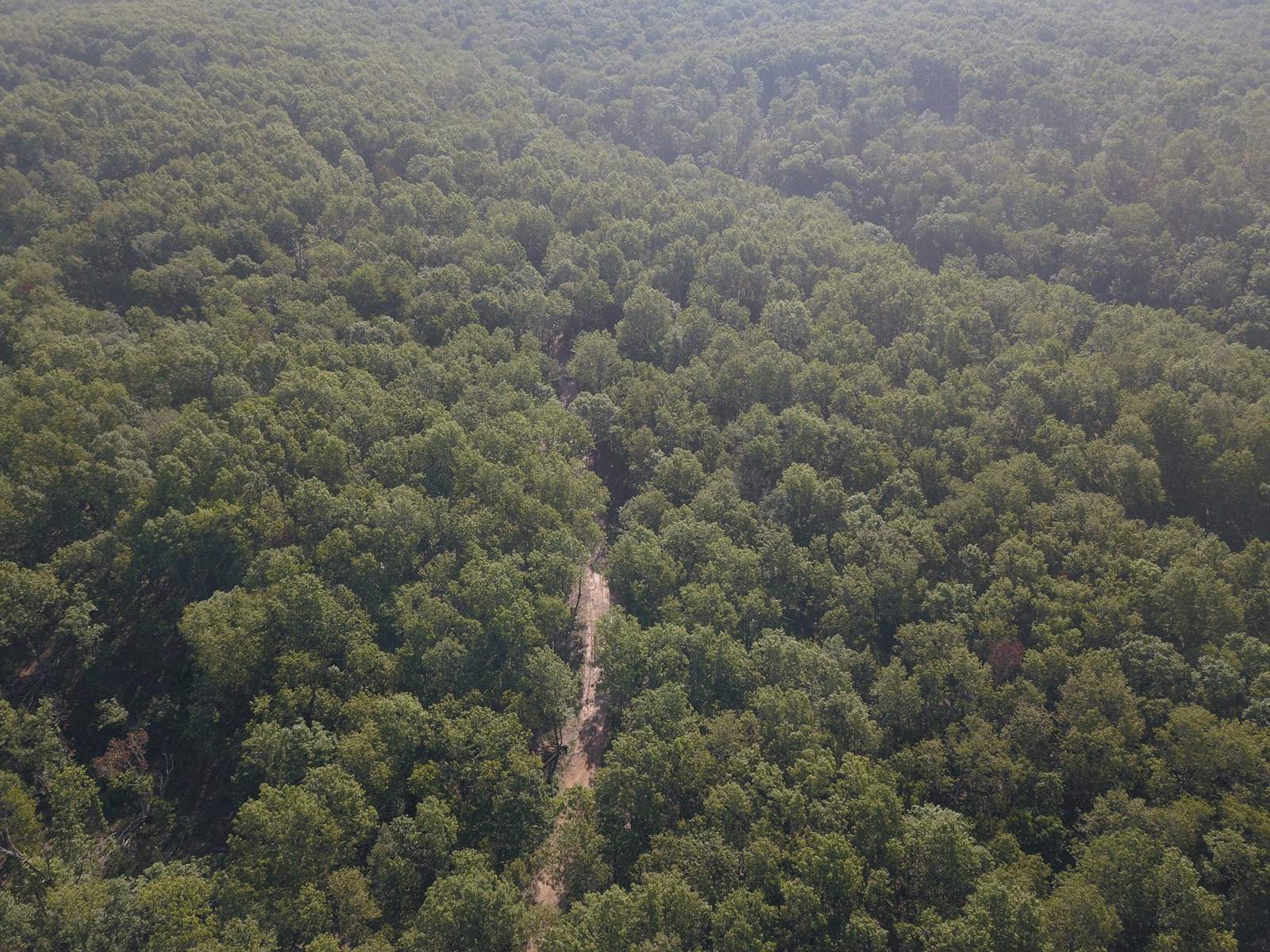 85 +/- acre property nestled on CR 4270 in Salem, MO!