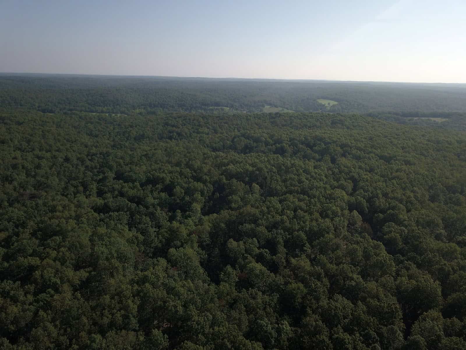 85 +/- acre property nestled on CR 4270 in Salem, MO!