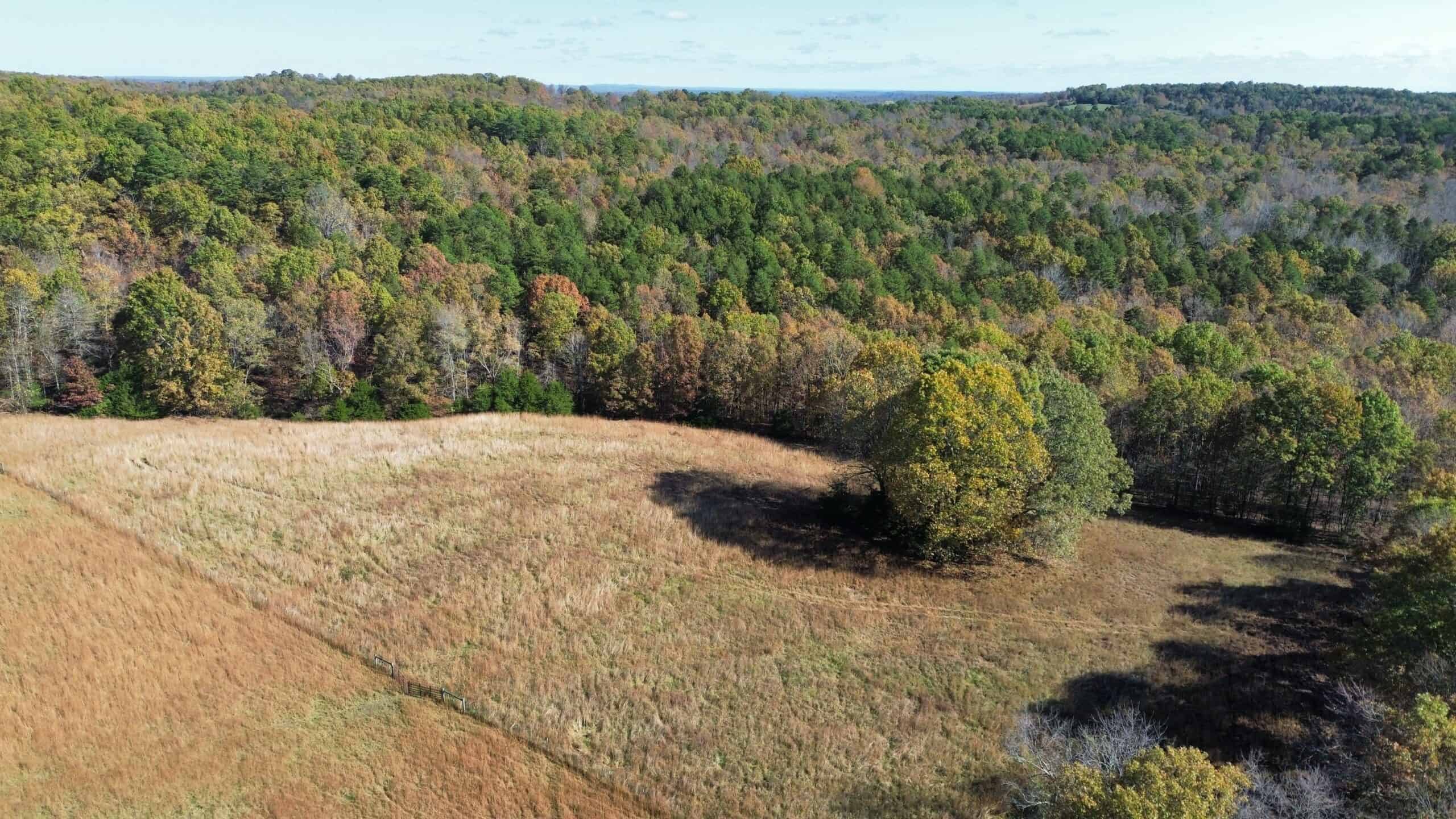 HUNTING AND RECREATIONAL LAND FOR SALE IN ARKANSAS