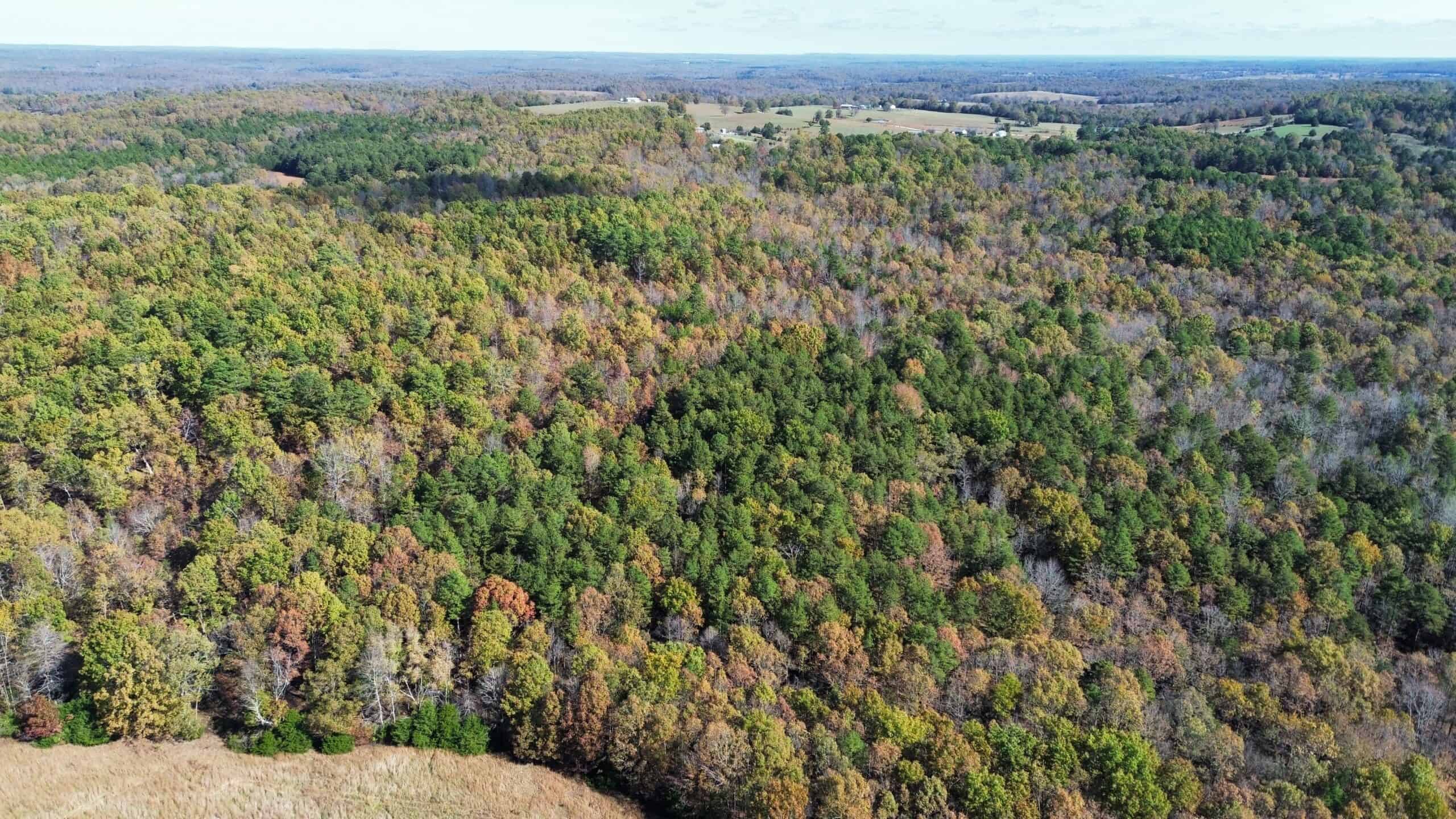 HUNTING AND RECREATIONAL LAND FOR SALE IN ARKANSAS