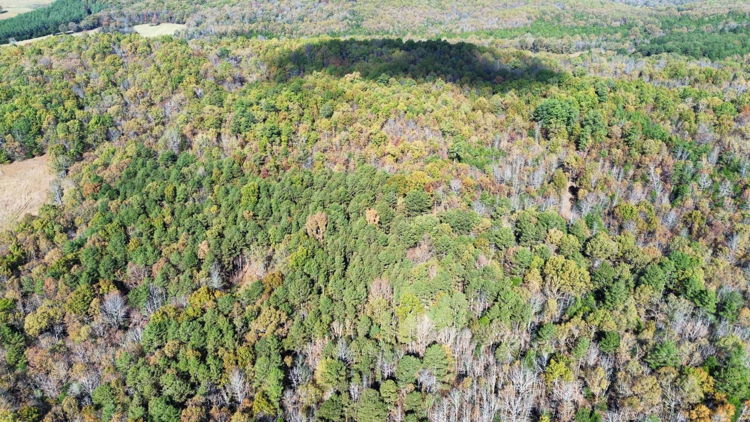 HUNTING AND RECREATIONAL LAND FOR SALE IN ARKANSAS