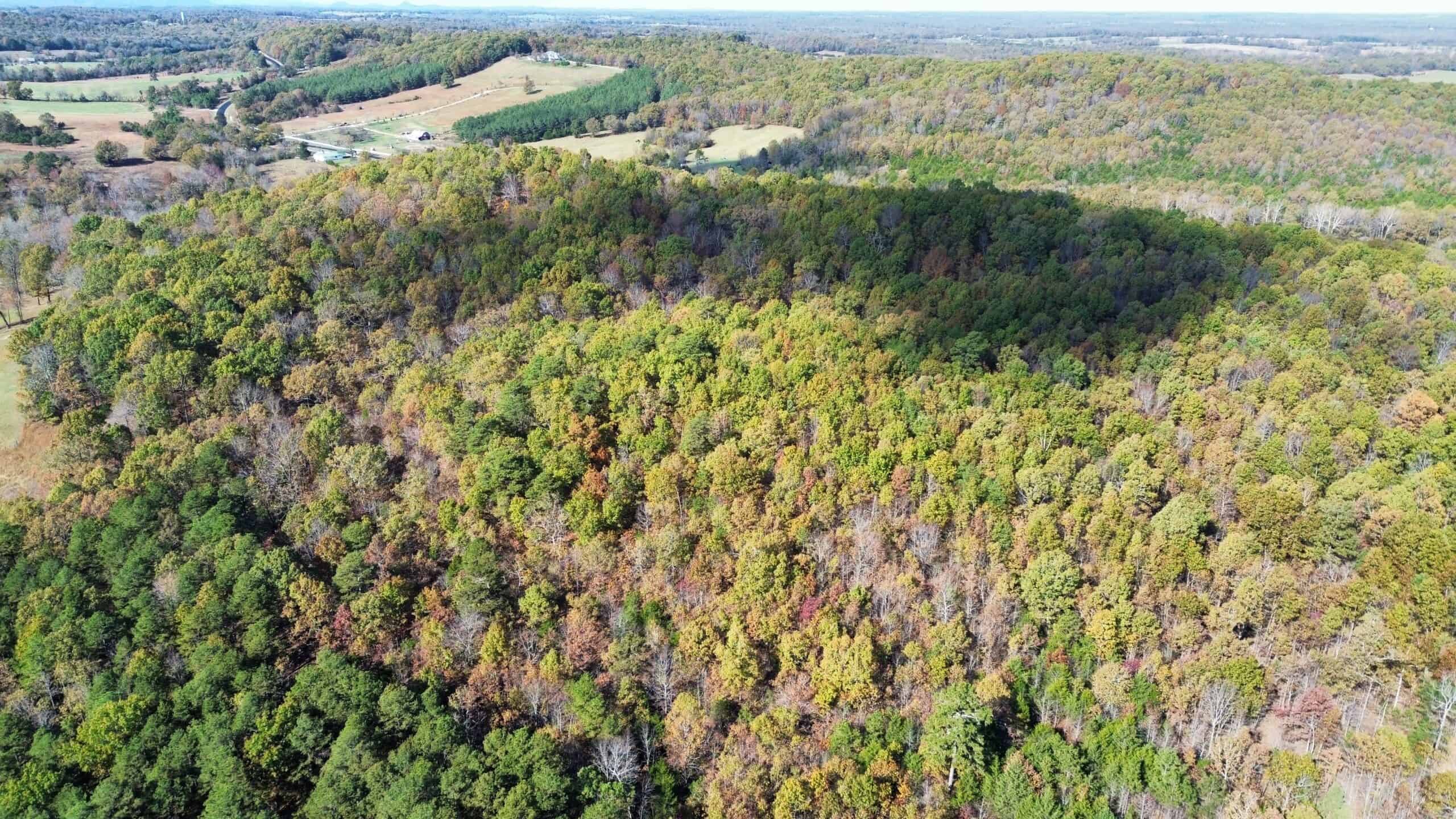 HUNTING AND RECREATIONAL LAND FOR SALE IN ARKANSAS