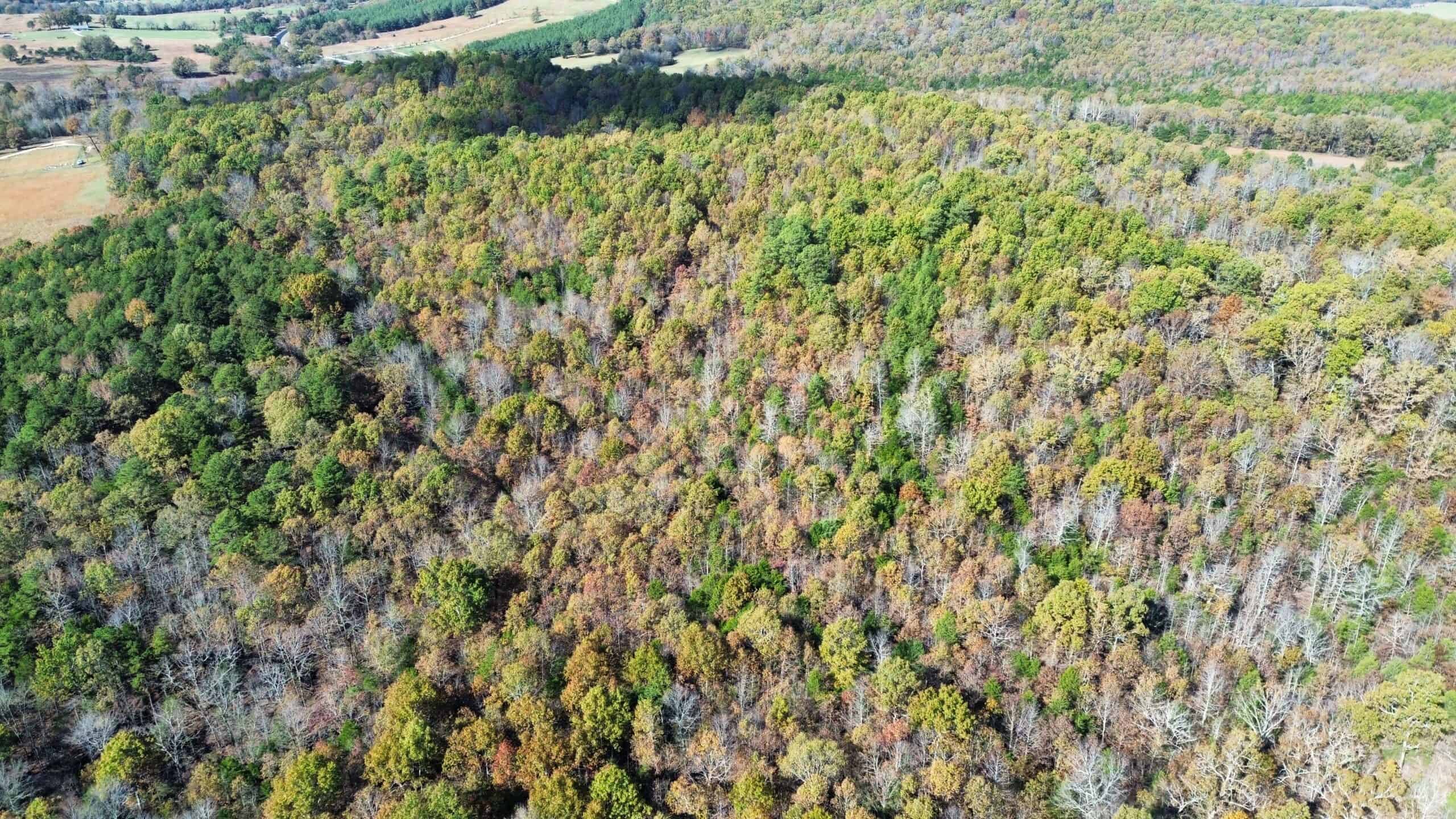 HUNTING AND RECREATIONAL LAND FOR SALE IN ARKANSAS