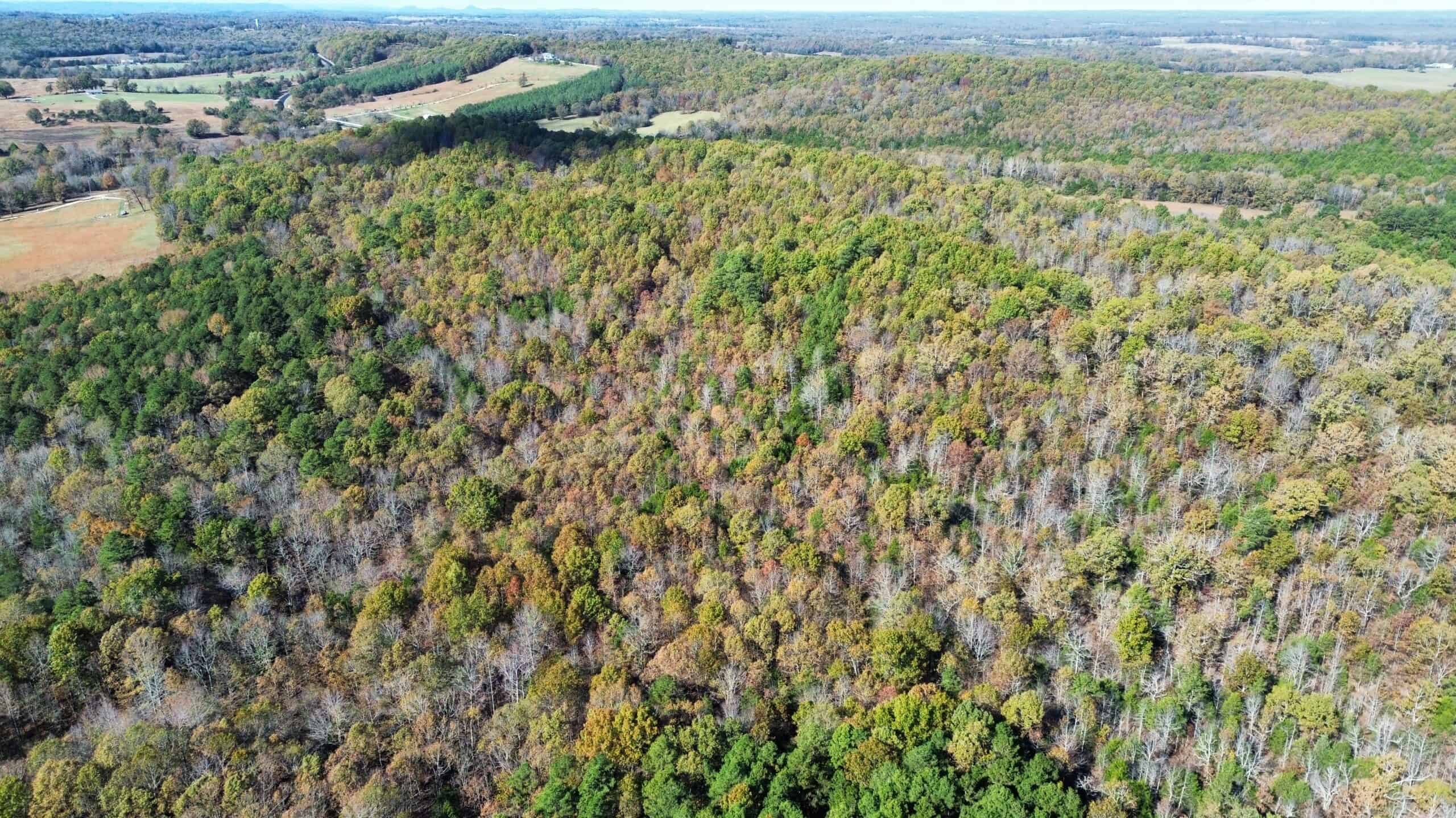 HUNTING AND RECREATIONAL LAND FOR SALE IN ARKANSAS
