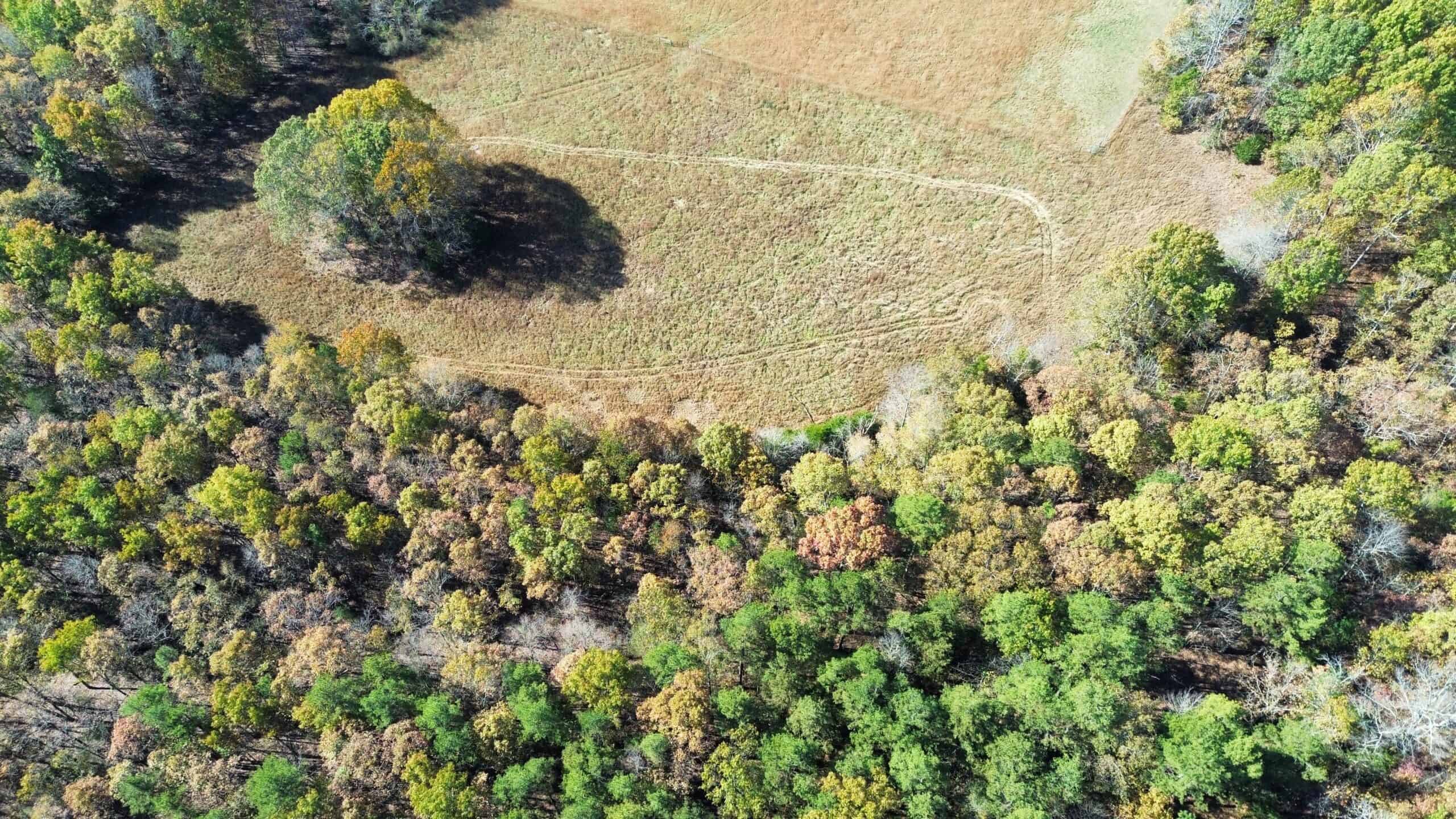 HUNTING AND RECREATIONAL LAND FOR SALE IN ARKANSAS