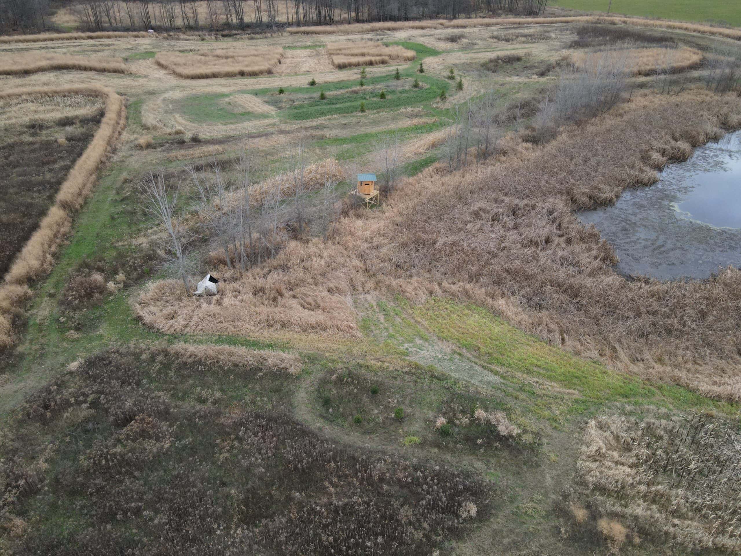 29 +/- Acres of Buildable Hunting Land Newaygo County MI