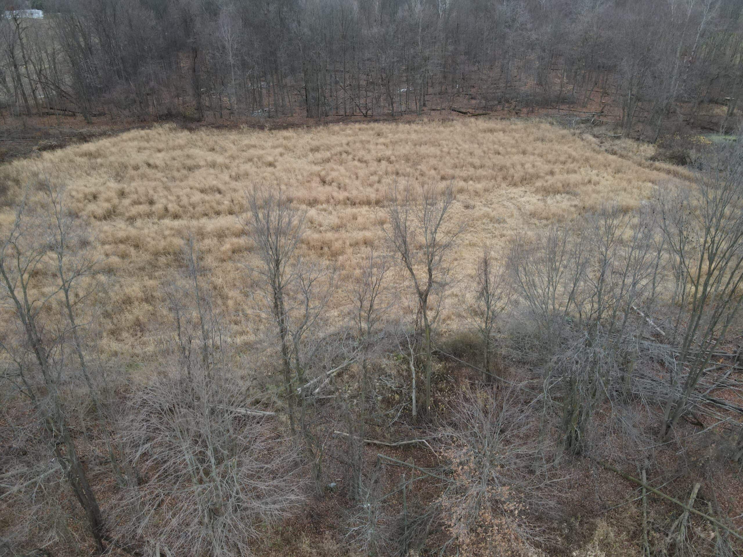 29 +/- Acres of Buildable Hunting Land Newaygo County MI