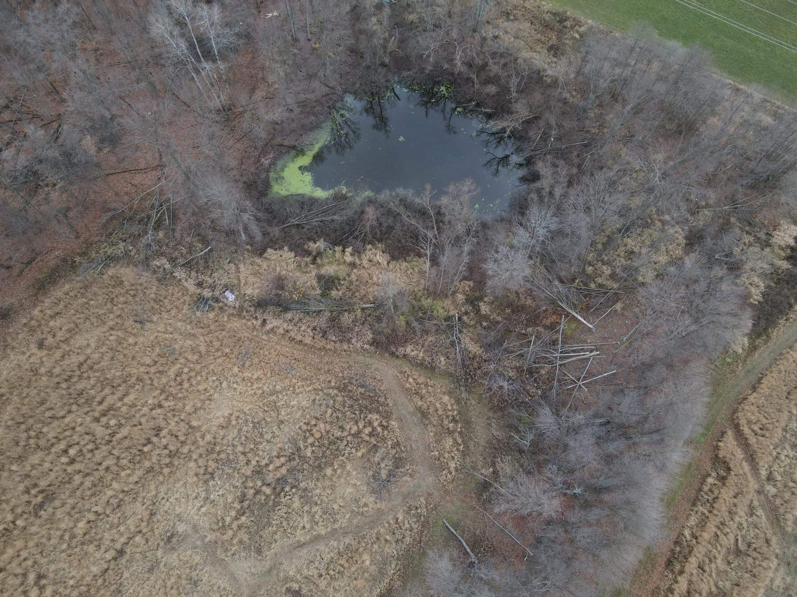 29 +/- Acres of Buildable Hunting Land Newaygo County MI