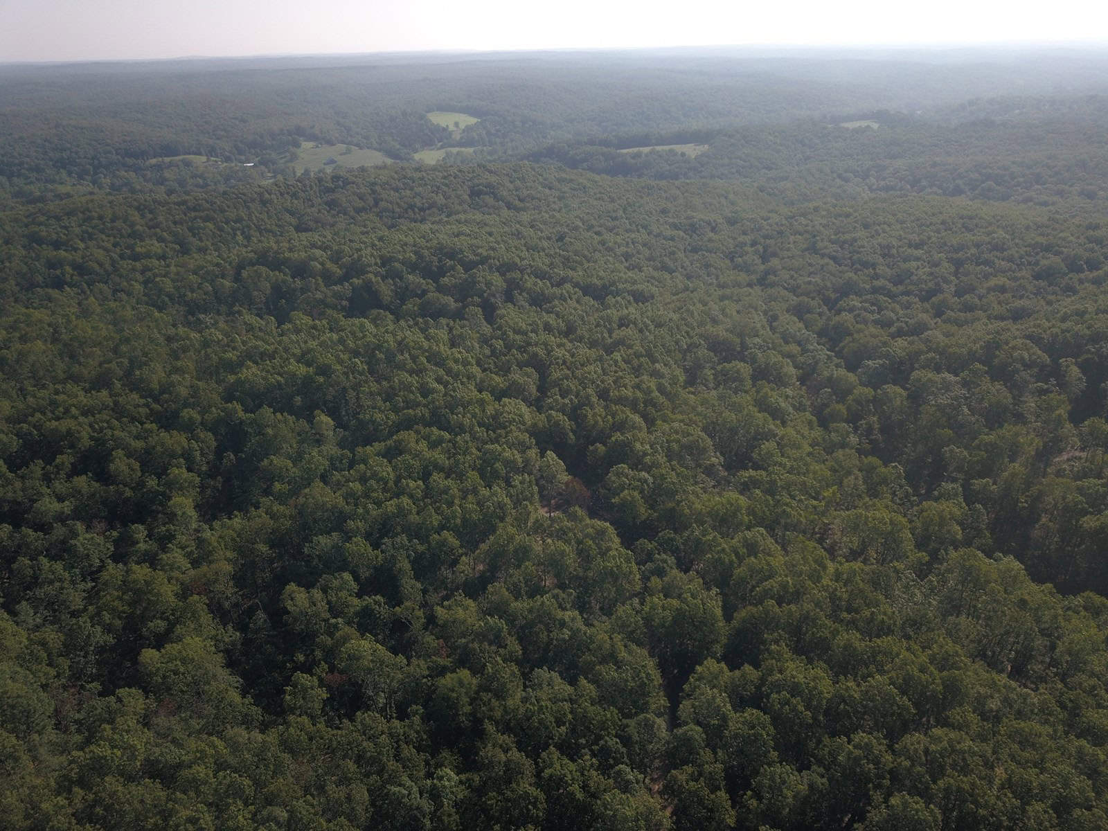 85 +/- acre property nestled on CR 4270 in Salem, MO!