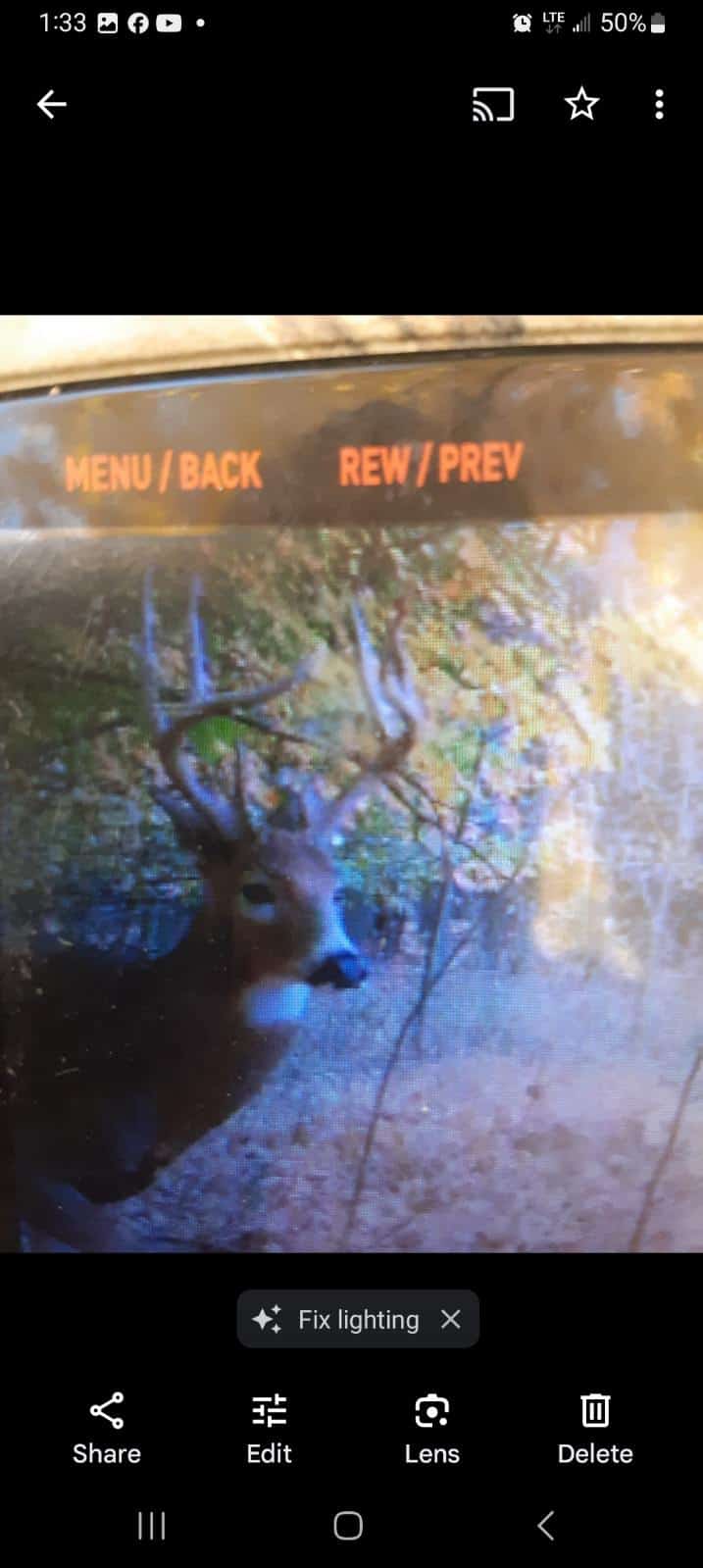 29 +/- Acres of Buildable Hunting Land Newaygo County MI