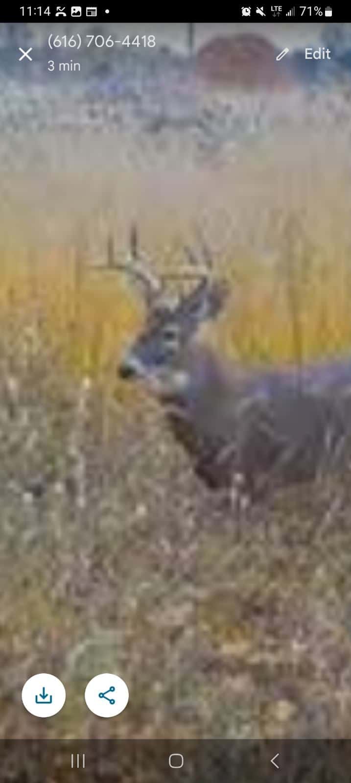 29 +/- Acres of Buildable Hunting Land Newaygo County MI