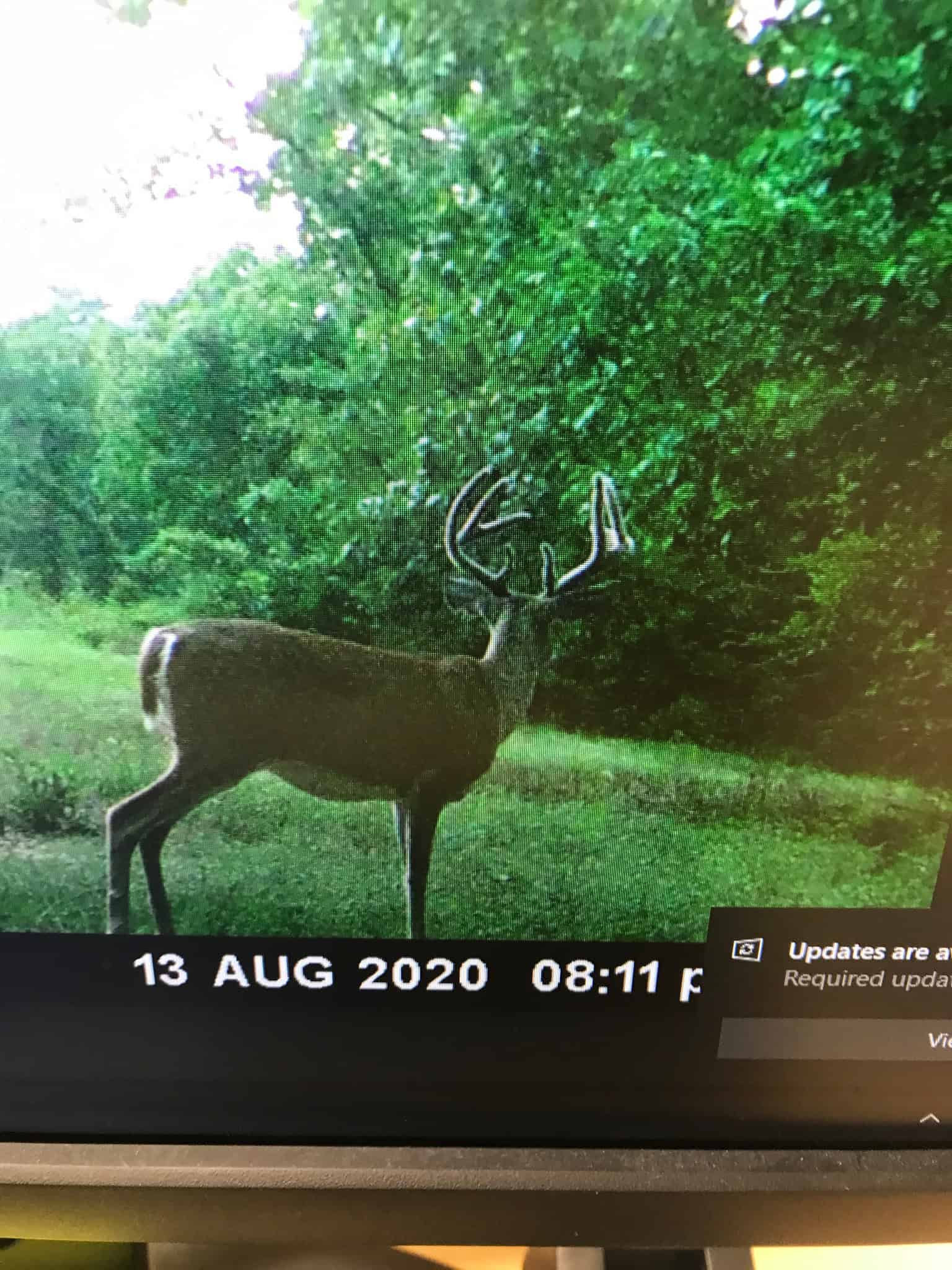 One of a kind Hunting Ranch Sequoyah County Oklahoma