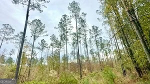 272 L S Inghram Sparta, GA 31087