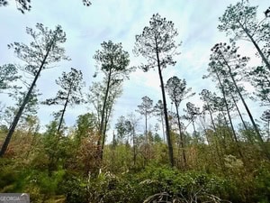272 L S Inghram Sparta, GA 31087