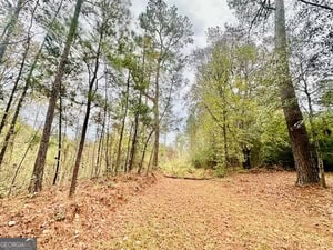 272 L S Inghram Sparta, GA 31087