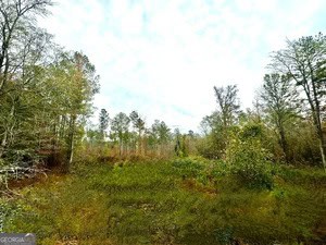 272 L S Inghram Sparta, GA 31087