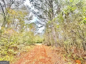 272 L S Inghram Sparta, GA 31087
