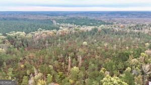 272 L S Inghram Sparta, GA 31087