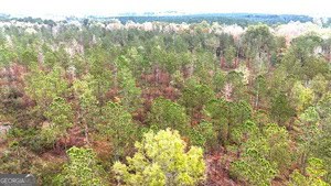 272 L S Inghram Sparta, GA 31087