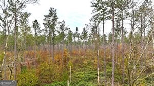 272 L S Inghram Sparta, GA 31087