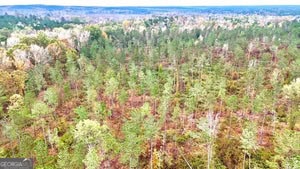 272 L S Inghram Sparta, GA 31087