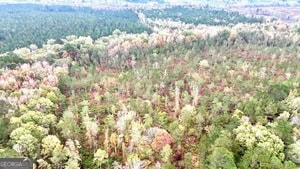 272 L S Inghram Sparta, GA 31087