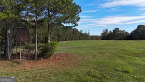 76.84 Acres located just 15 minutes from Athens