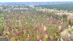 272 L S Inghram Sparta, GA 31087