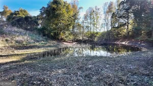 76.84 Acres located just 15 minutes from Athens
