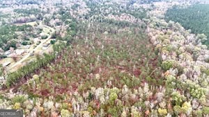 272 L S Inghram Sparta, GA 31087