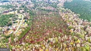 272 L S Inghram Sparta, GA 31087