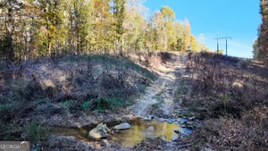 76.84 Acres located just 15 minutes from Athens