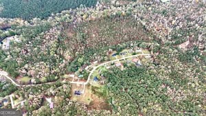 272 L S Inghram Sparta, GA 31087