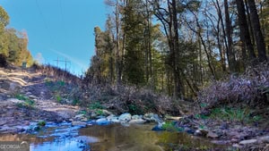 76.84 Acres located just 15 minutes from Athens