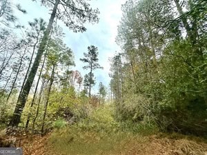 272 L S Inghram Sparta, GA 31087