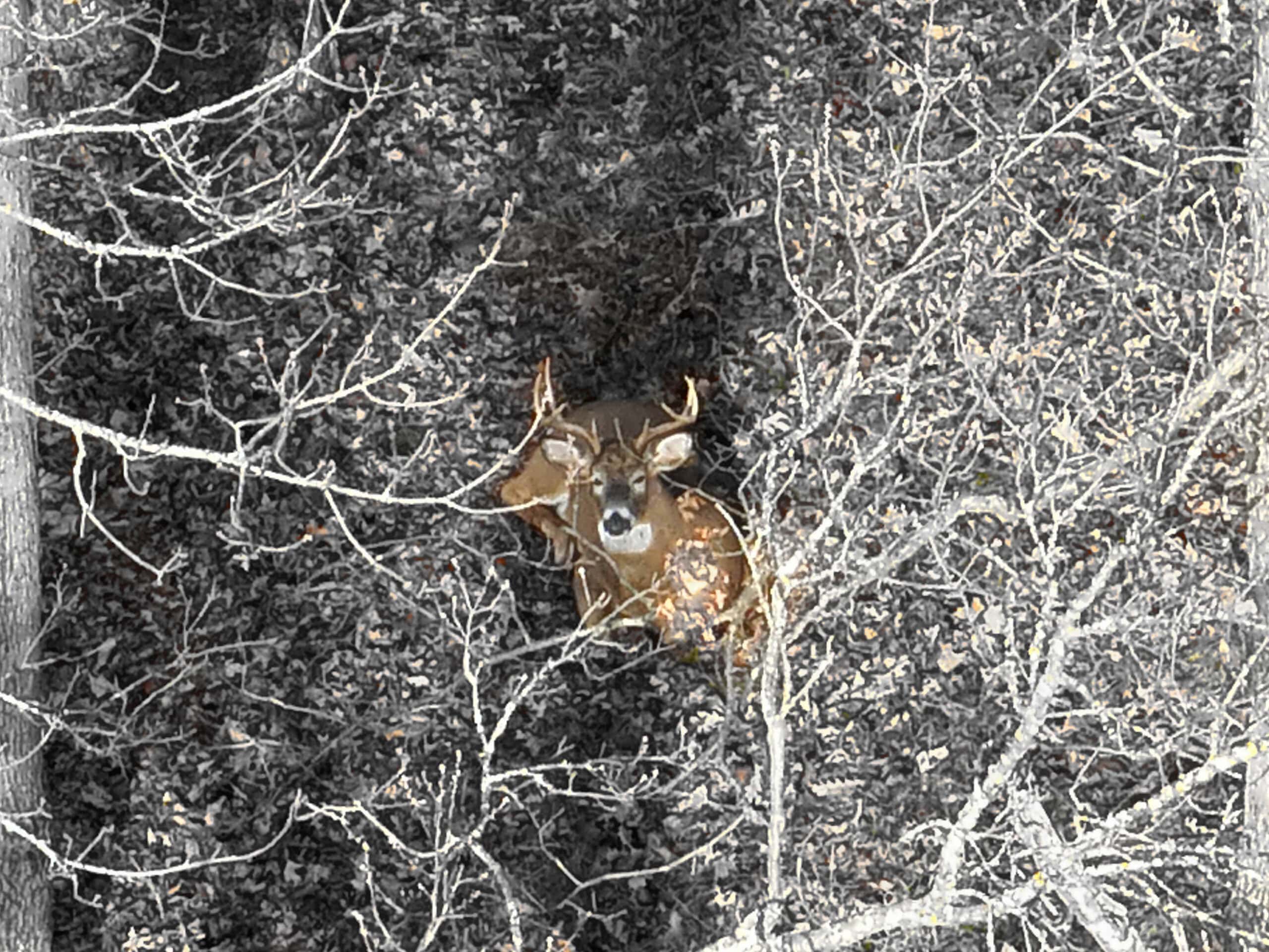 Extraordinary Hunting Land for sale in Richland County, Wisconsin