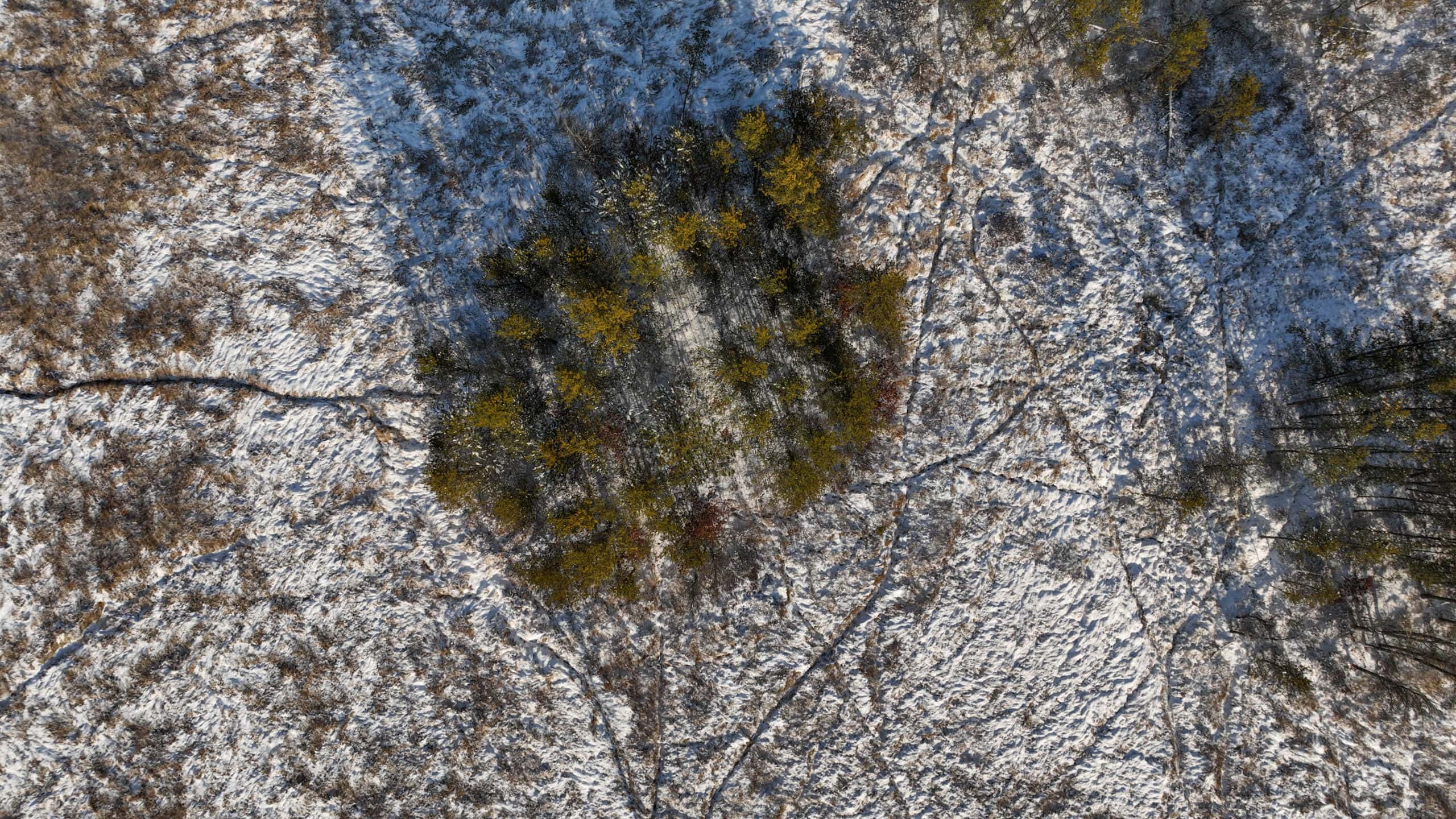 Deer Hunting Land for Sale in Adams County, Wisconsin