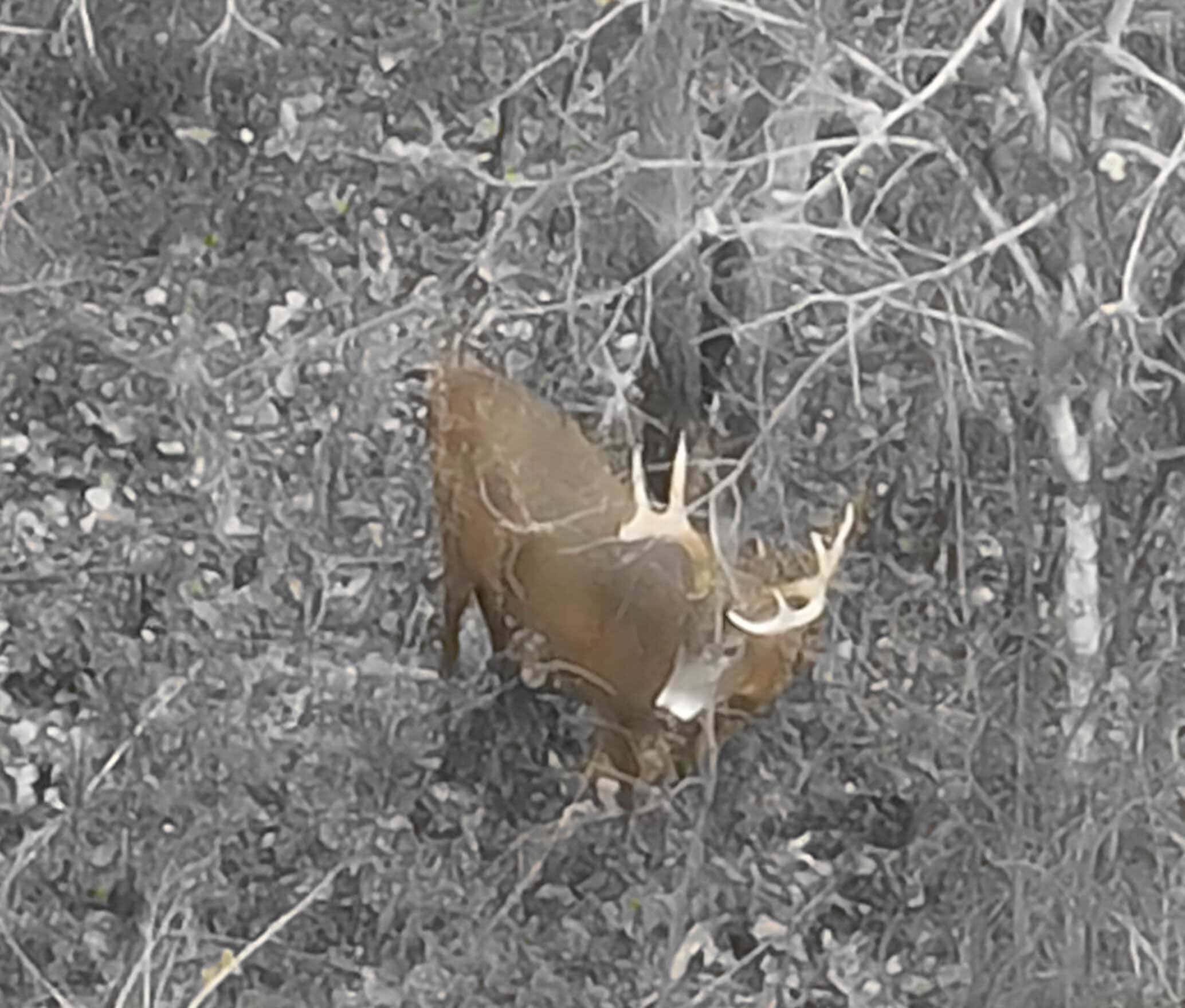 Extraordinary Hunting Land for sale in Richland County, Wisconsin