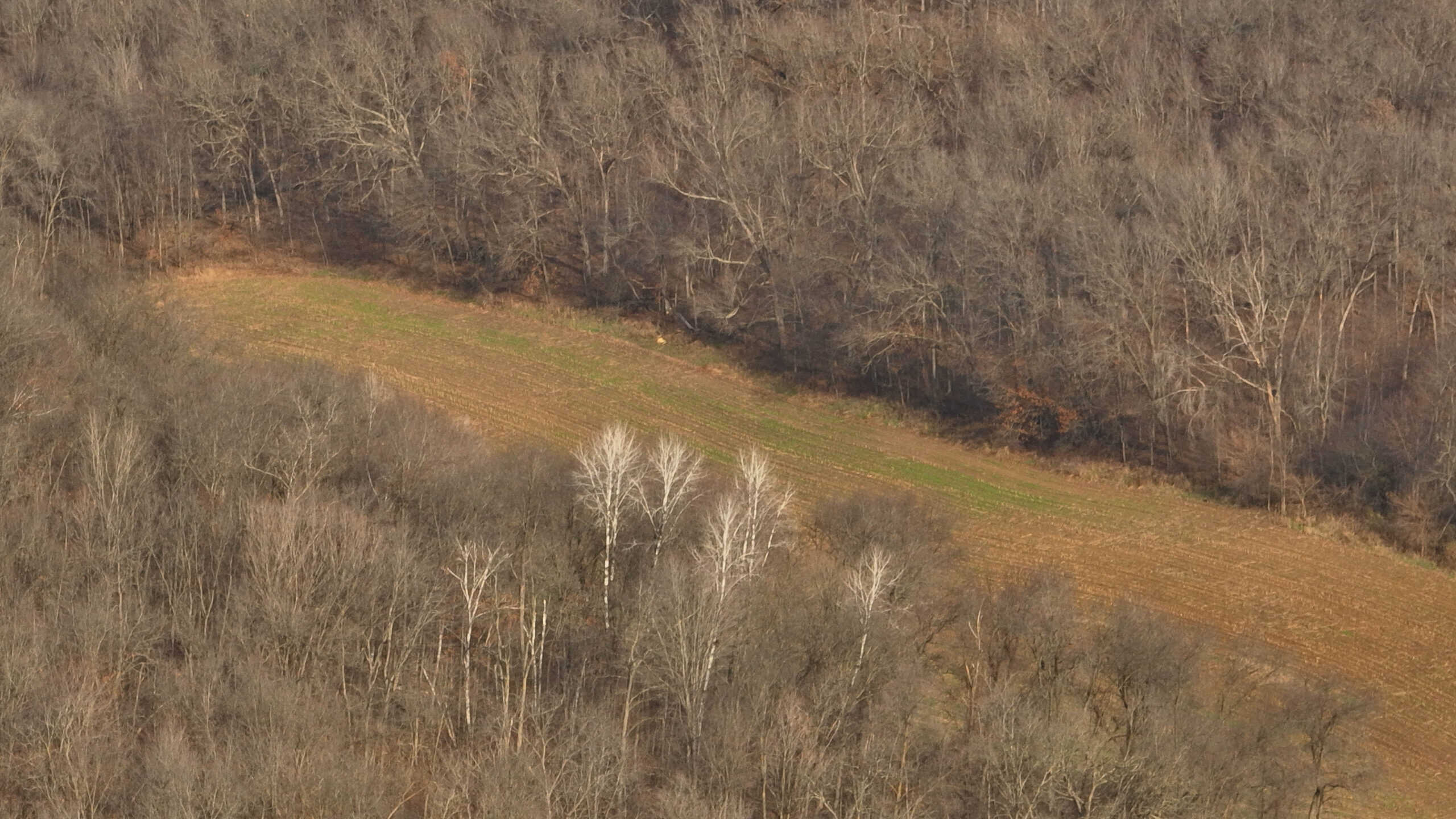 Extraordinary Hunting Land for sale in Richland County, Wisconsin