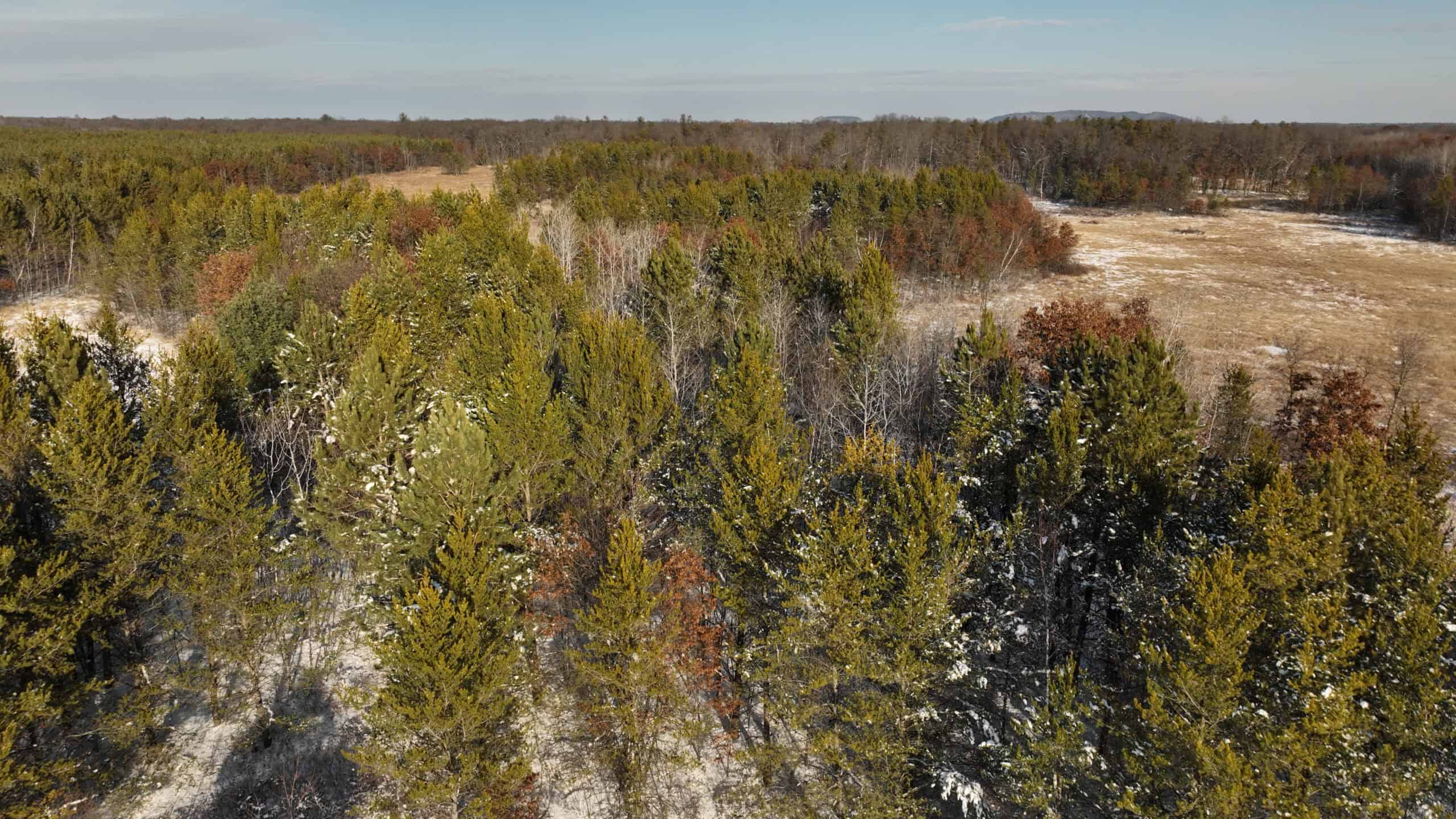 Deer Hunting Land for Sale in Adams County, Wisconsin