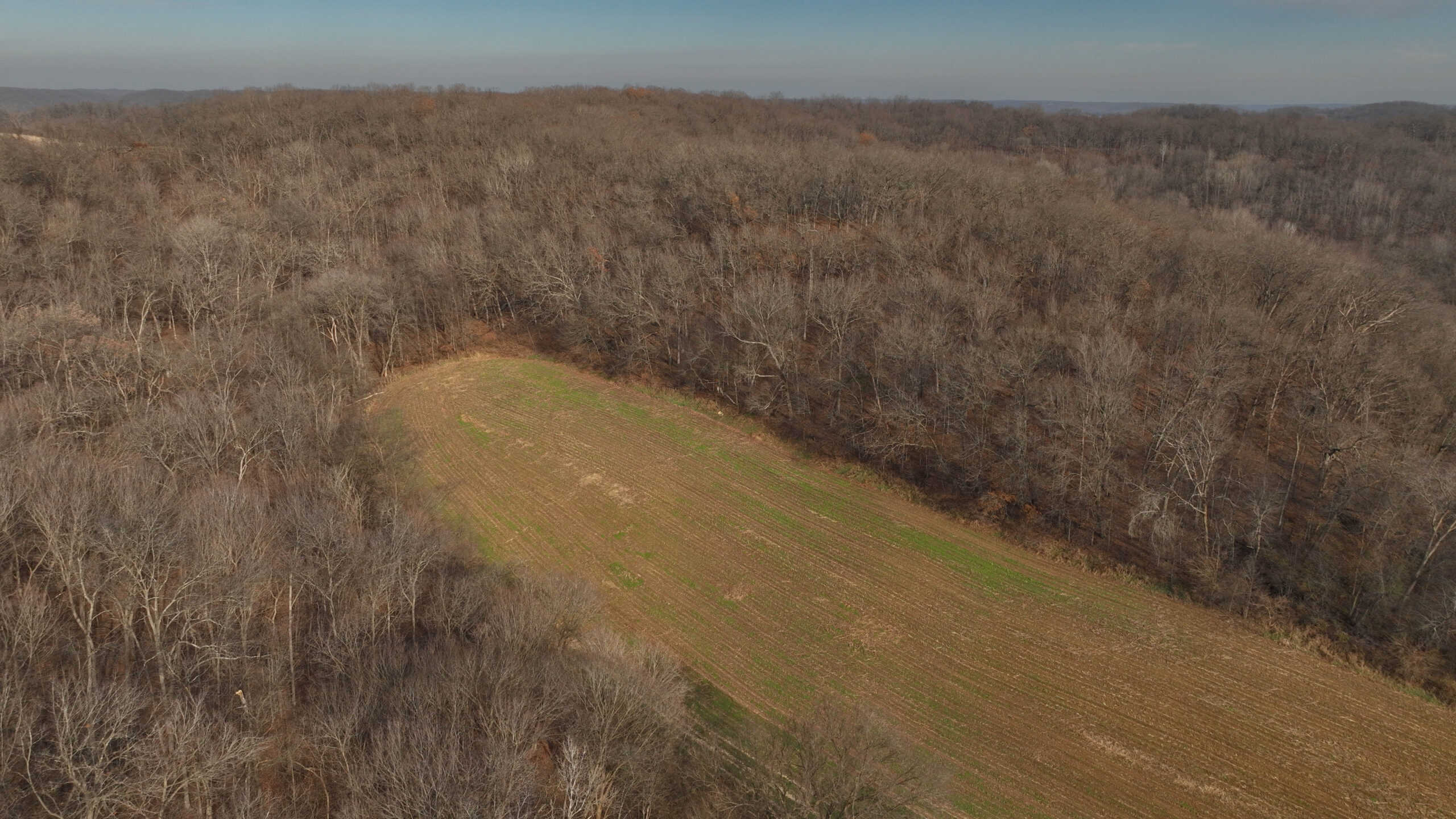 Extraordinary Hunting Land for sale in Richland County, Wisconsin