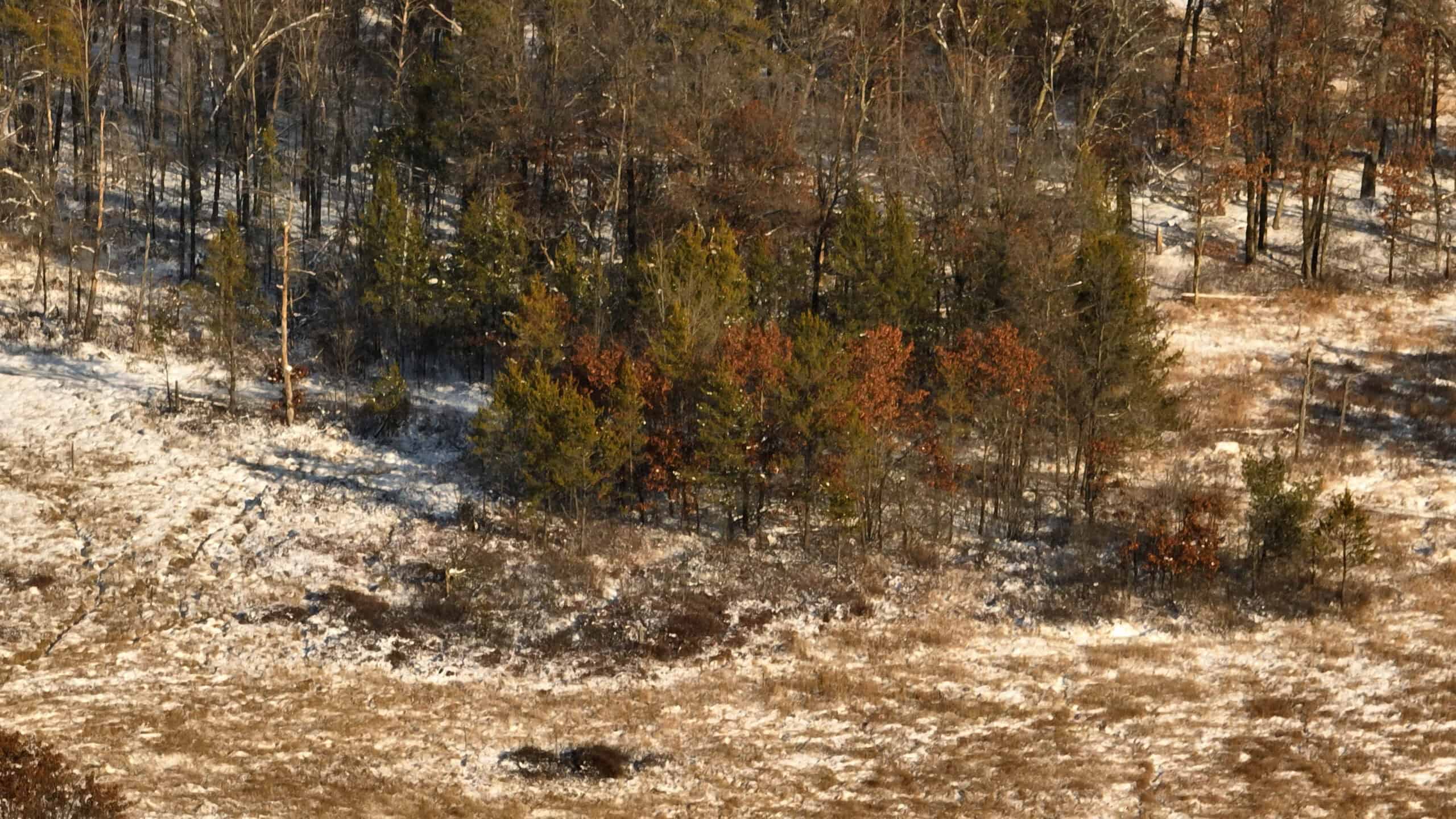 Deer Hunting Land for Sale in Adams County, Wisconsin