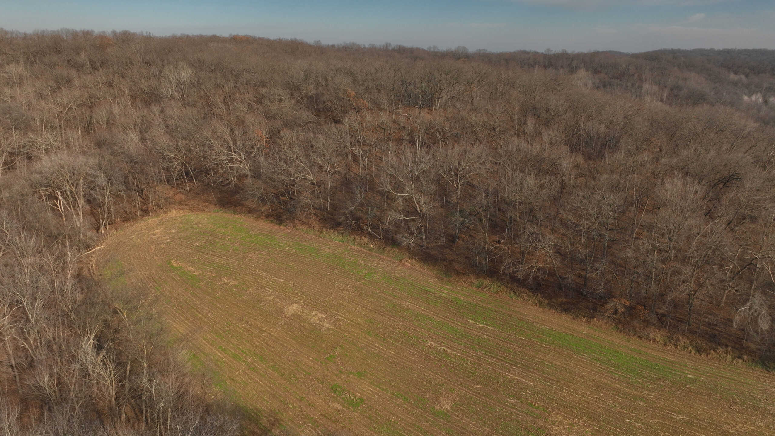 Extraordinary Hunting Land for sale in Richland County, Wisconsin