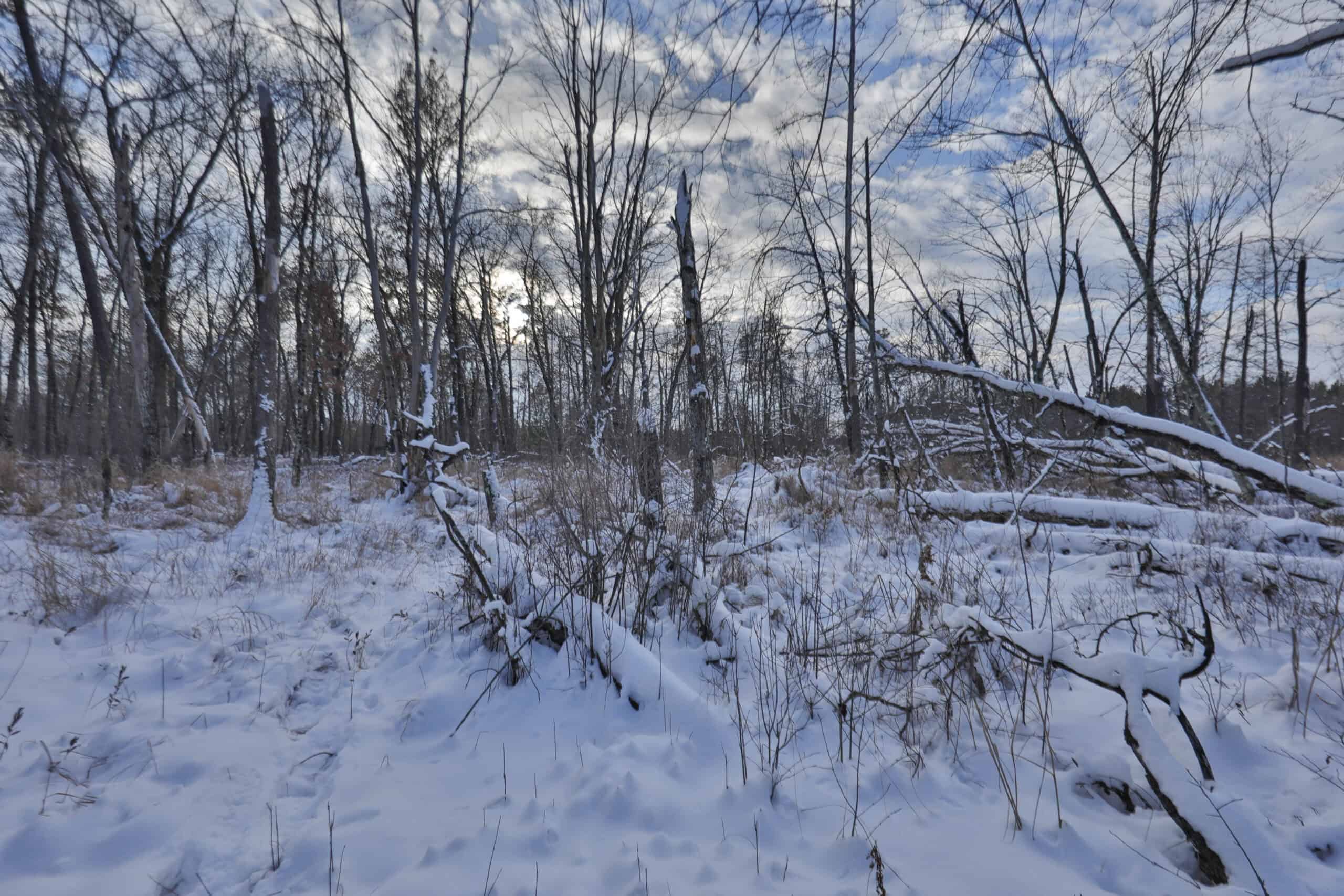 Whitetail Property for sale in Adams County, Wisconsin