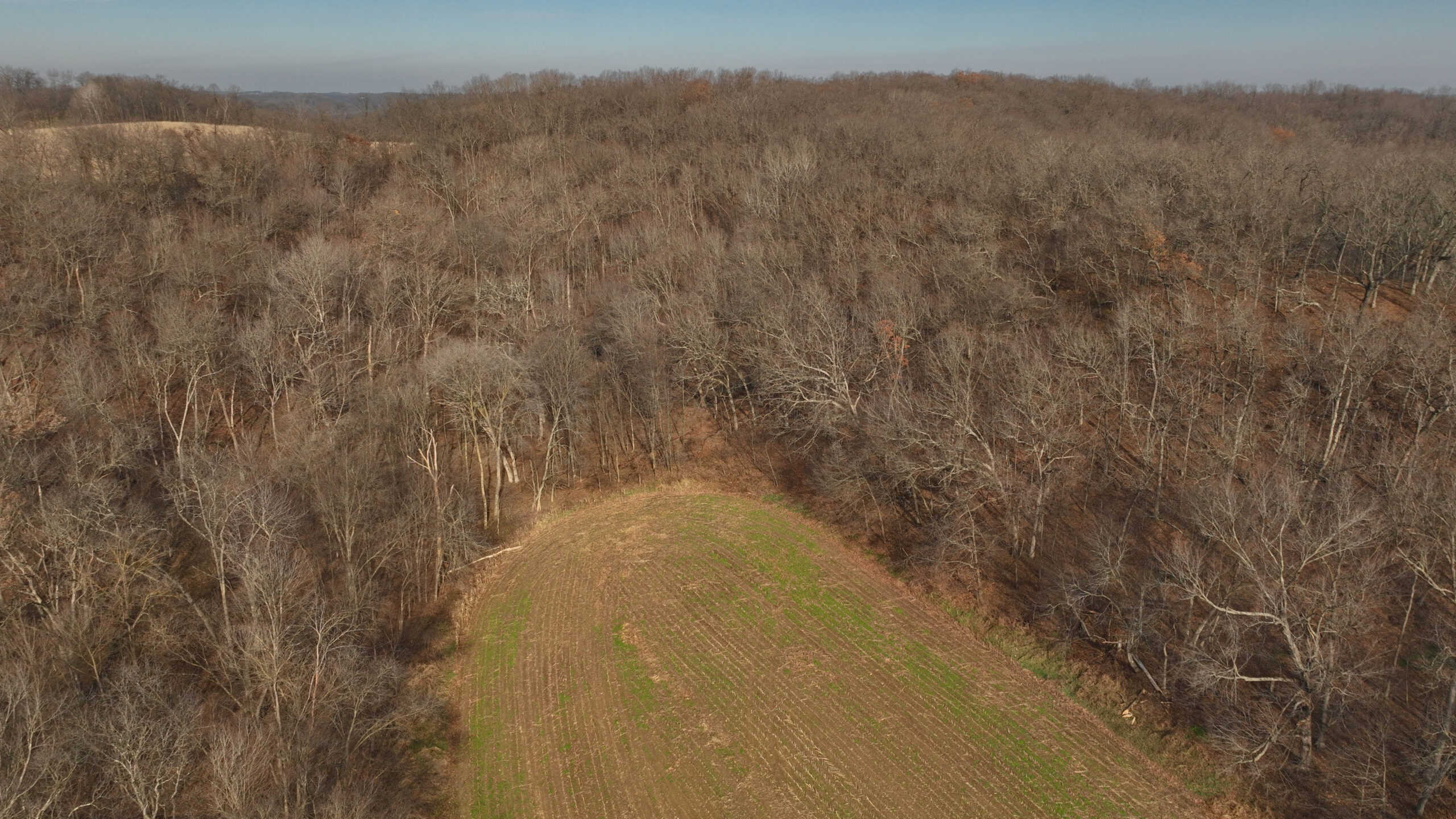 Extraordinary Hunting Land for sale in Richland County, Wisconsin