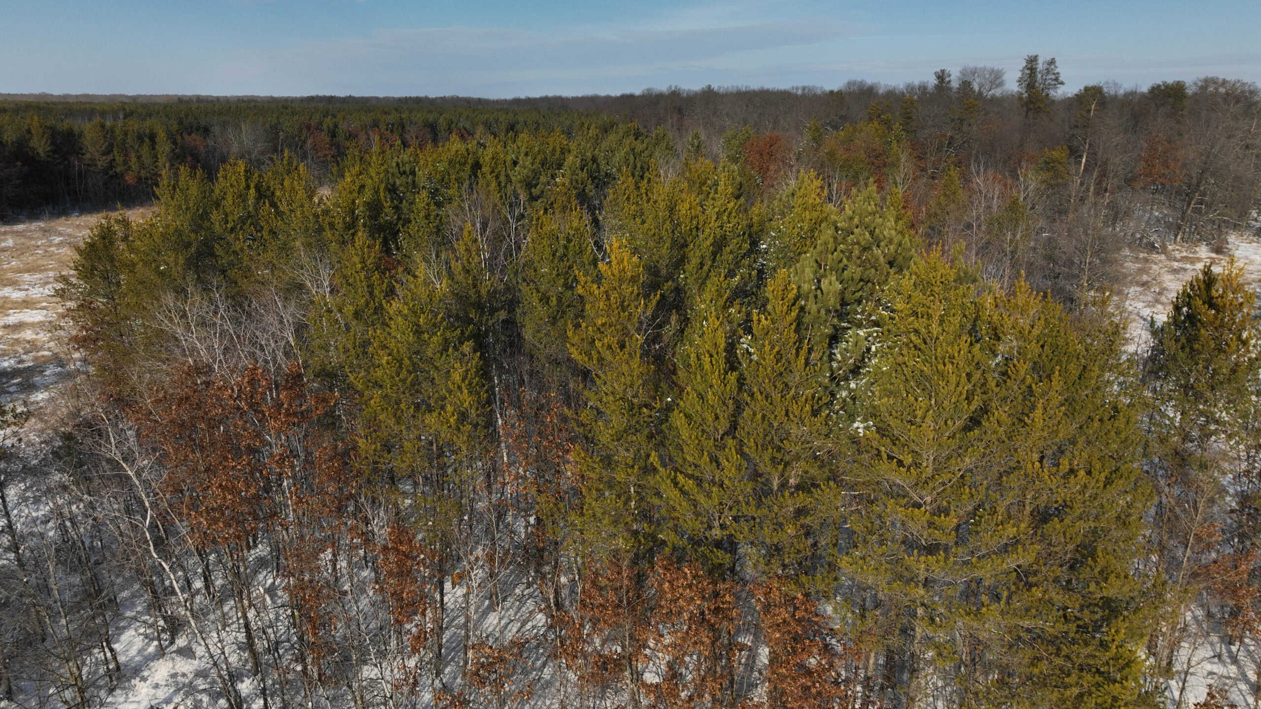 Whitetail Property for sale in Adams County, Wisconsin