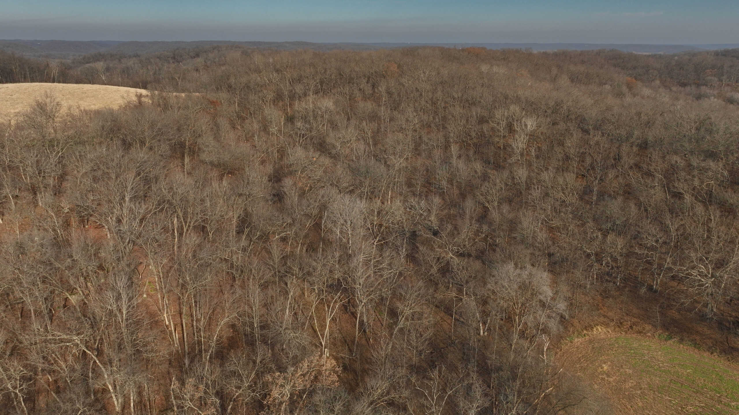 Extraordinary Hunting Land for sale in Richland County, Wisconsin