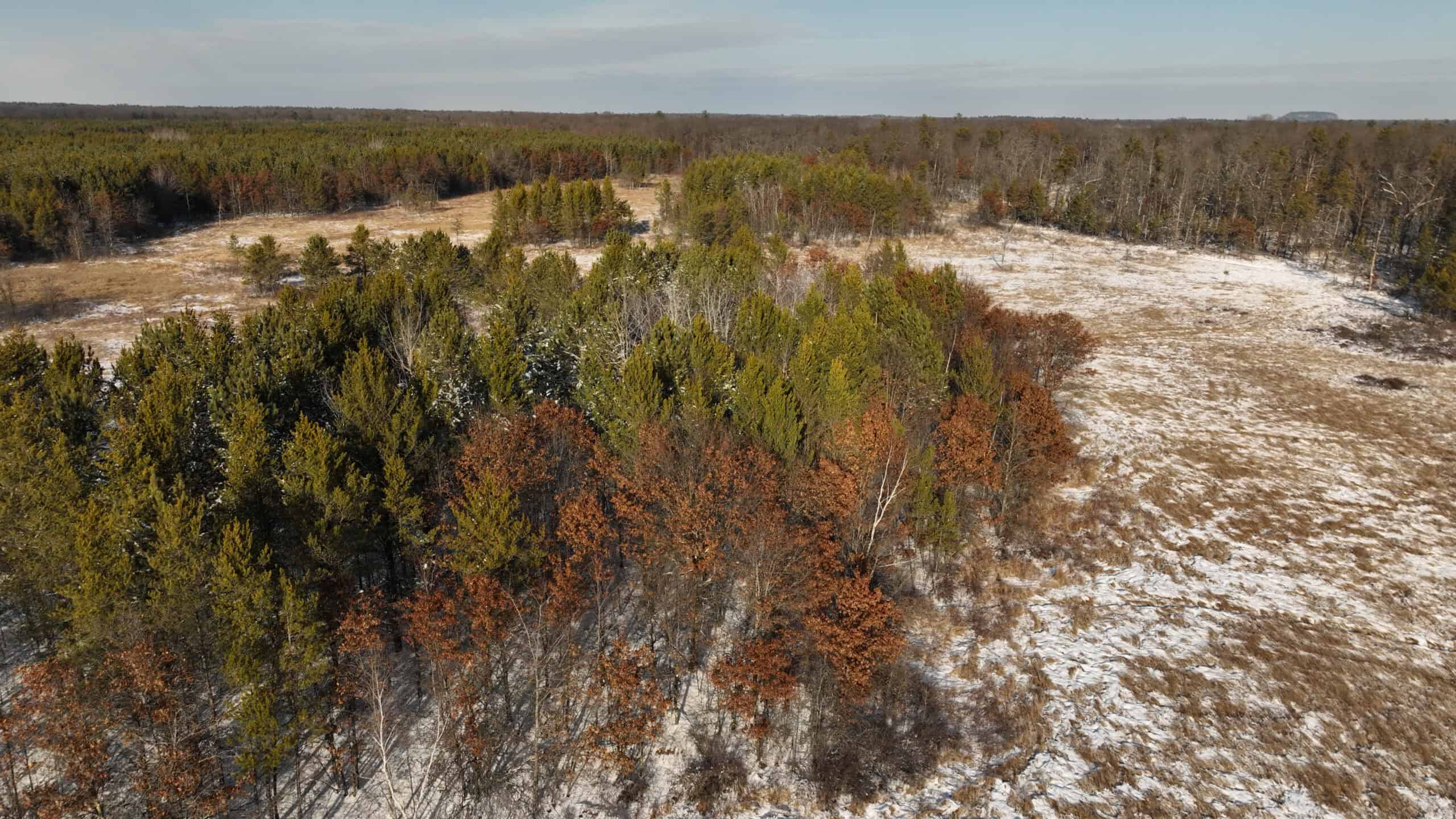 Deer Hunting Land for Sale in Adams County, Wisconsin